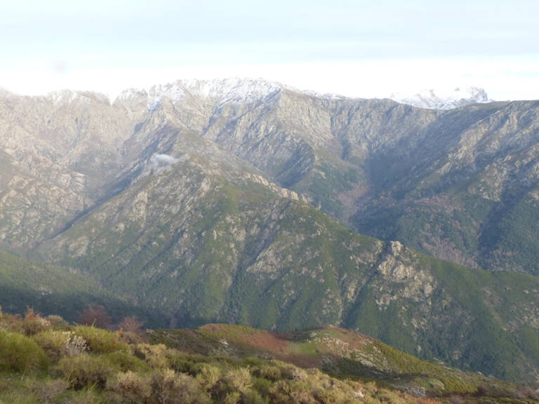 DOMAINE AGRICOLE LETIA - 60 HA — photo 1