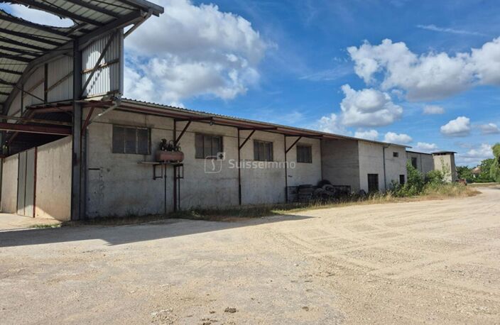Bâtiment Industriel avec bureaux  et hangars de 2200 m2 + Maison de 250 m2 sur 12000 m2 de Terrain — photo 3