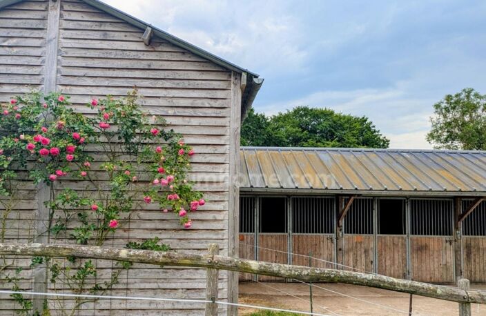 Propriété équestre 200 m² sur 1 ha (4 boxes, hangar et dépendances) départ balades immédiat — photo 3