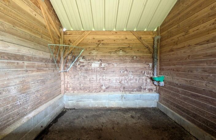 Propriété équestre 200 m² sur 1 ha (4 boxes, hangar et dépendances) départ balades immédiat — photo 4