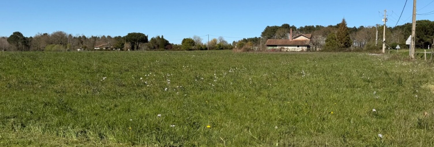 Terrain  989 m² à vendre à Bazas (33430)