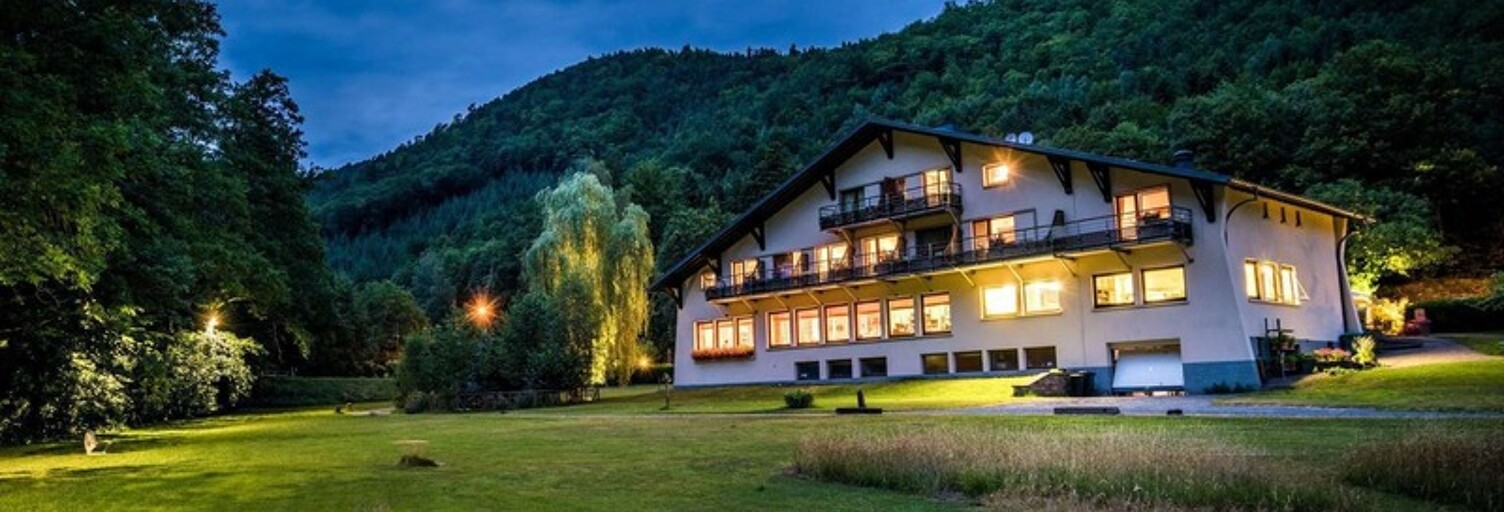 Commerce 40 Pièces 9000 m² à vendre à Obernai (67210)
