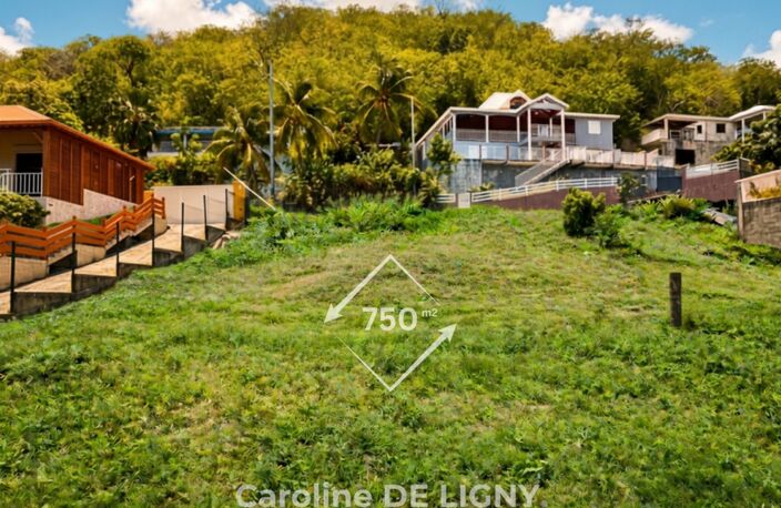 Terrain 750 m² Deshaies Bas Vent - Secteur recherché — photo 2
