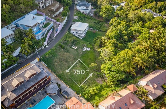 Terrain 750 m² Deshaies Bas Vent - Secteur recherché — photo 3
