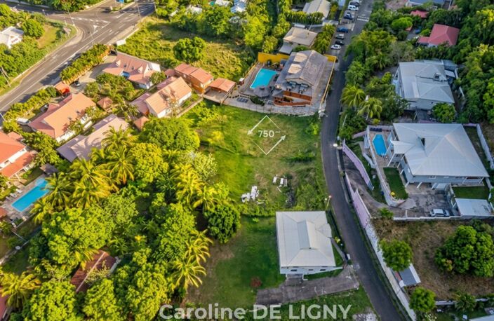 Terrain 750 m² Deshaies Bas Vent - Secteur recherché — photo 4