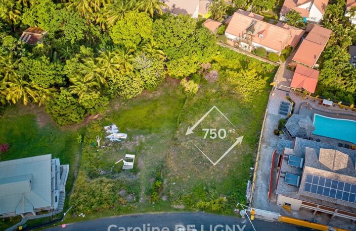 Terrain 750 m² Deshaies Bas Vent - Secteur recherché — photo 5