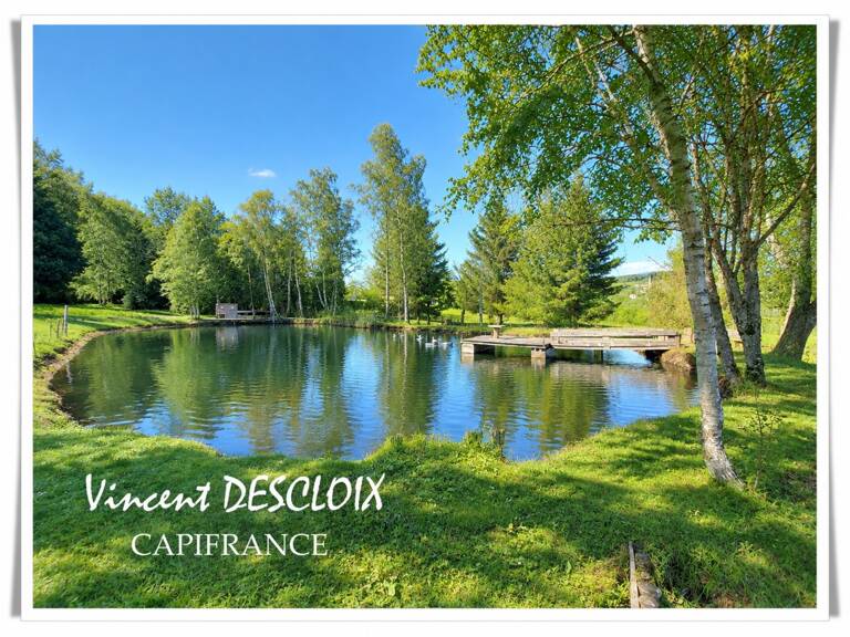 Dpt Nièvre (58), à vendre MONTSAUCHE LES SETTONS maison P5 propriété avec étang — photo 1