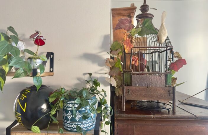 2 pièces cosy au coeur de La Garenne Colombes — photo 2