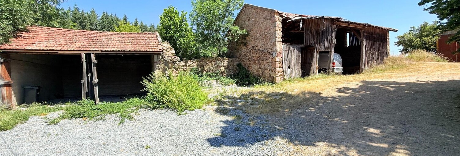 Terrain  6877 m² à vendre à Saint-Germain-Laval (42260)