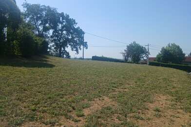 Terrain  65000 €