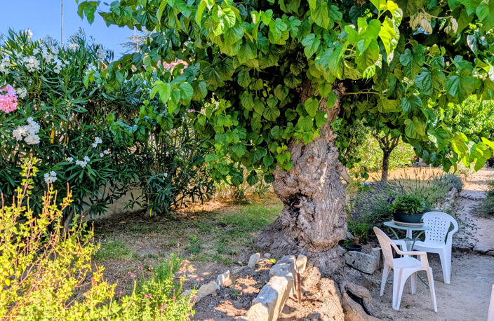 EN EXCLUSIVITÉ   CHARME DE LA PIERRE À CAVEIRAC — photo 4