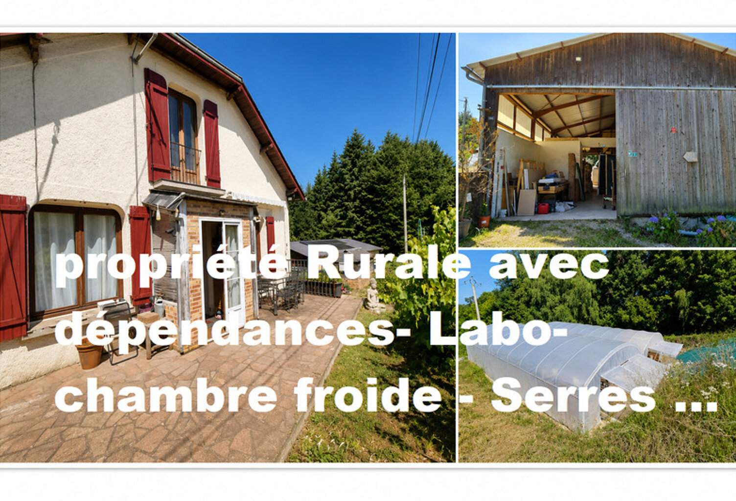 PROPRIETE RURALE AVEC DEPENDANCES ET SERRES — photo 1