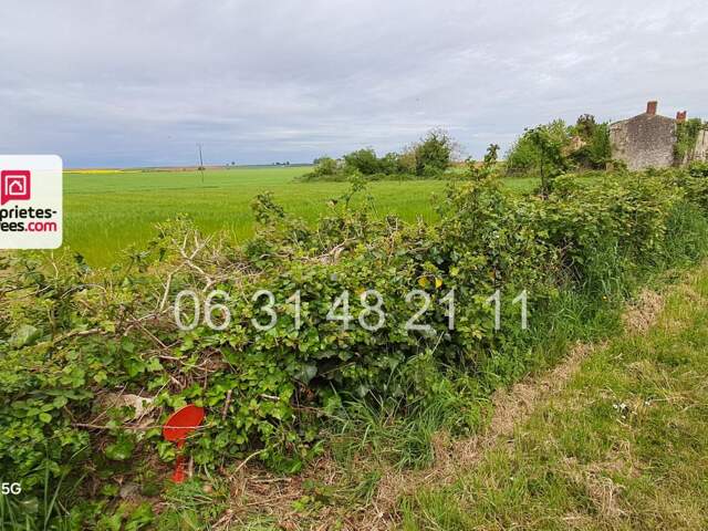 TERRAIN CONSTRUCTIBLE   1622 M2 NON VIABILISE — photo du bien