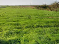 TERRAIN CONSTRUCTIBLE   1622 M2 NON VIABILISE — photo 4