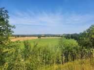 Belle longère avec dépendances - 6 pièces -  BEAUMONTOIS EN PERIGORD (24) — photo 4