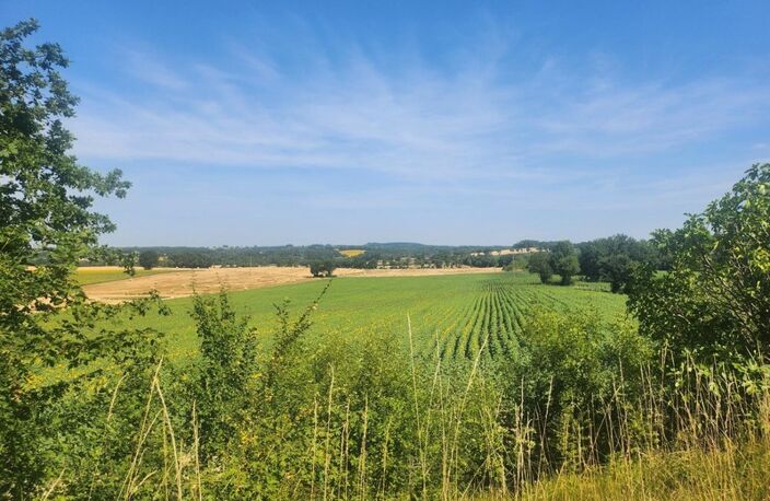 Belle longère avec dépendances - 6 pièces -  BEAUMONTOIS EN PERIGORD (24) — photo 4