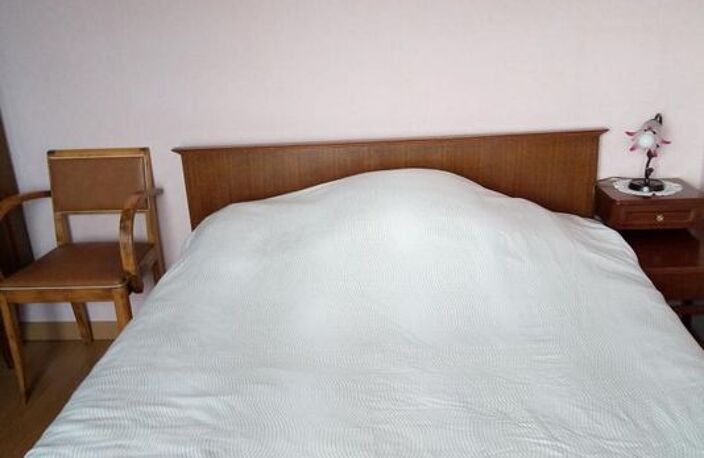 Chambre de 13m2 à louer sur Bourges — photo 2
