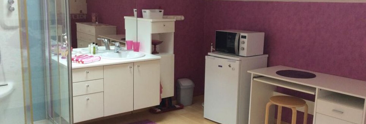 Appartement 1 Pièce 19 m² à louer à Dijon (21000)