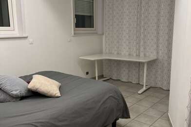 Appartement 1 pièces 300 €
