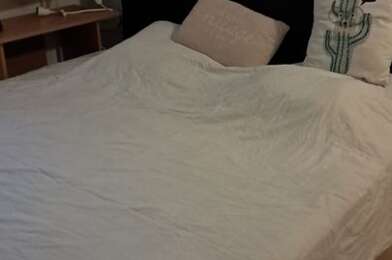Appartement 1 pièces 300 €