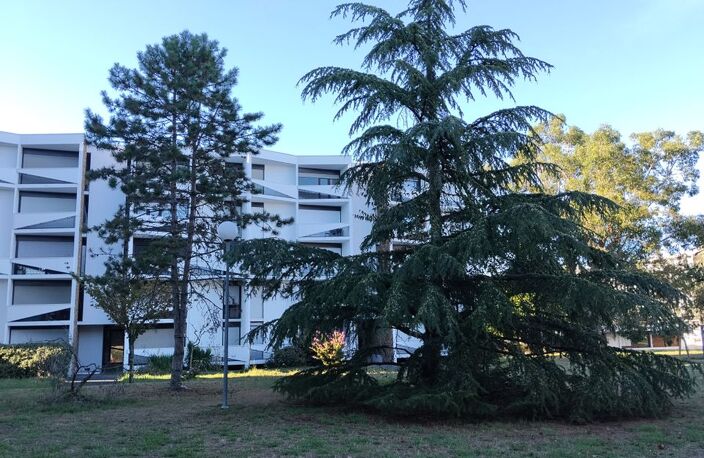 Chambre de 12m2 à louer sur Pessac — photo 4