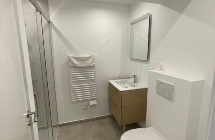 Studio de 23m2 à louer sur Aire-sur-l'Adour — photo 3