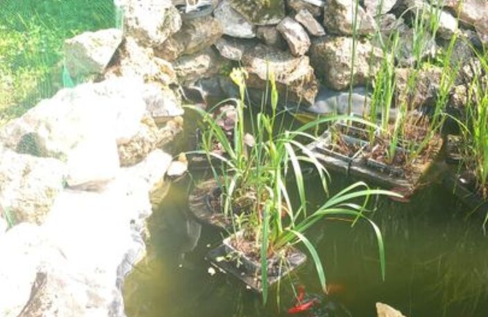 Chambre de 25m2 à louer sur Courtisols — photo 2