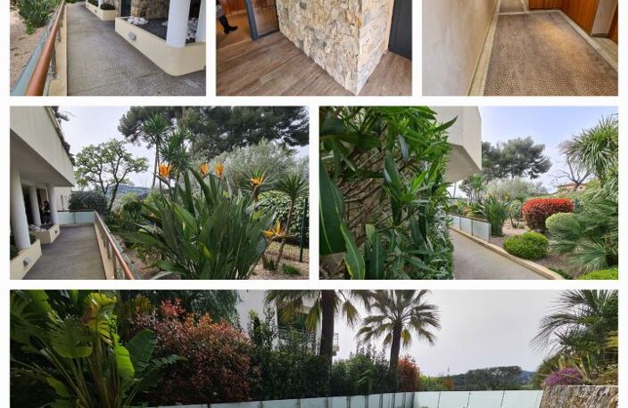 Studio de 30m2 à louer sur Antibes — photo 2
