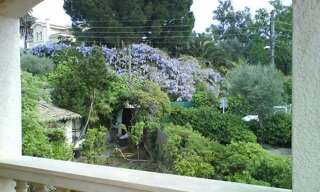 Appartement 1 Pièce 16 m² à louer à Antibes (06160)