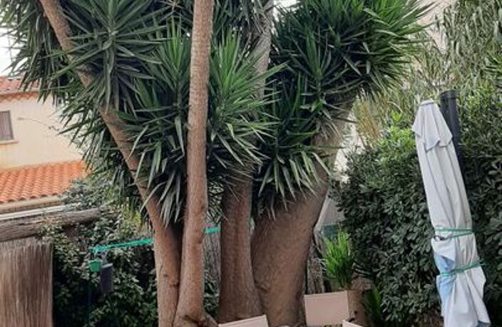 Chambre de 10m2 à louer sur Perpignan — photo 4