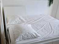 Studio de 21m2 à louer sur Saint-Cyprien — photo 4