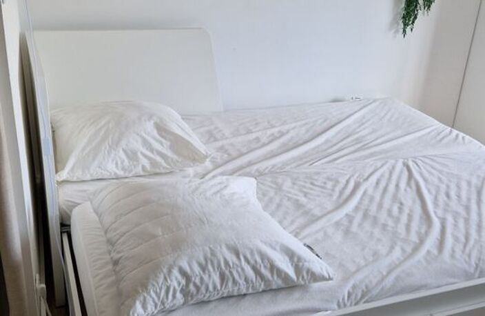 Studio de 21m2 à louer sur Saint-Cyprien — photo 3