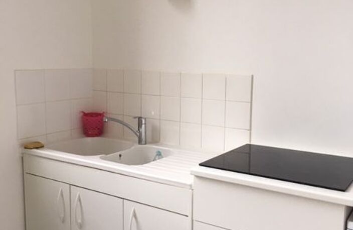 Appartement de 55m2 à louer sur Lyon 07 — photo 4