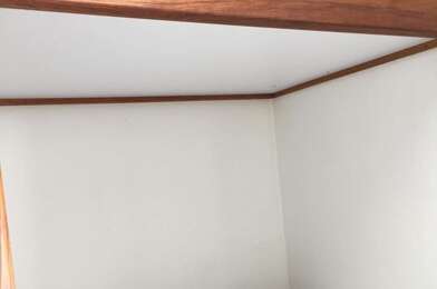 Appartement 1 pièces 380 €