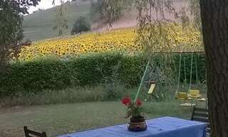 Photo N° 2