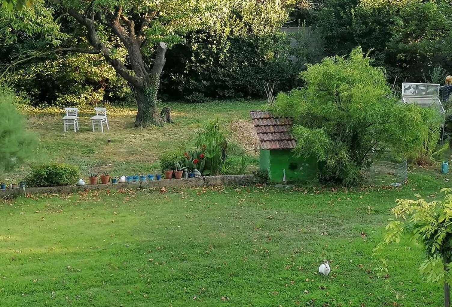 Chambre de 22m2 à louer sur Avignon — photo 1