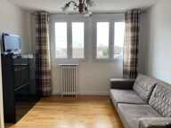 Appartement de 48m2 à louer sur Joinville-le-Pont — photo 2
