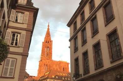 Appartement 1 pièces 550 €