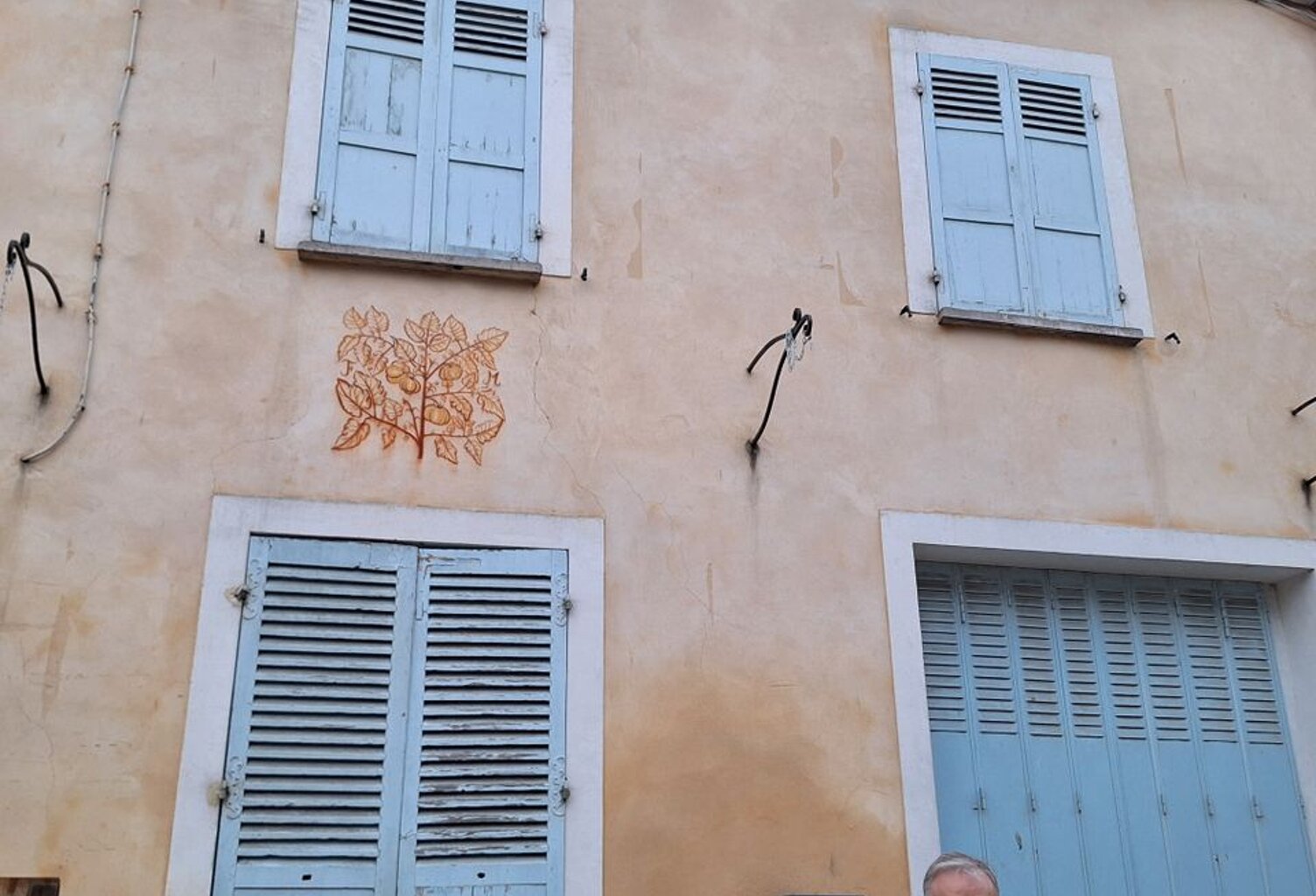 Maison de 80m2 à louer sur Brie-Comte-Robert — photo 1