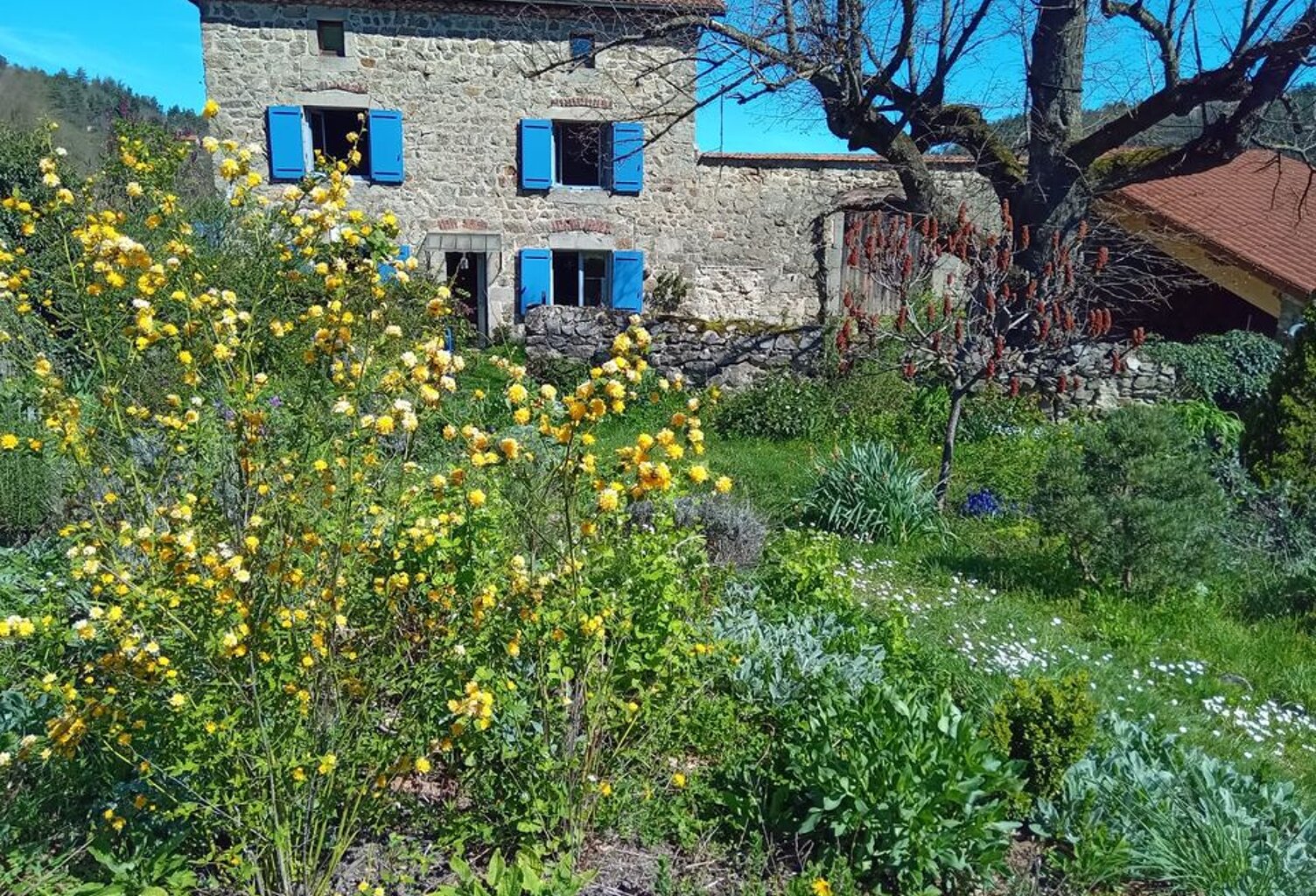 Chambre de 25m2 à louer sur Pont-Salomon — photo 1