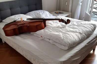 Appartement 1 pièces 600 €