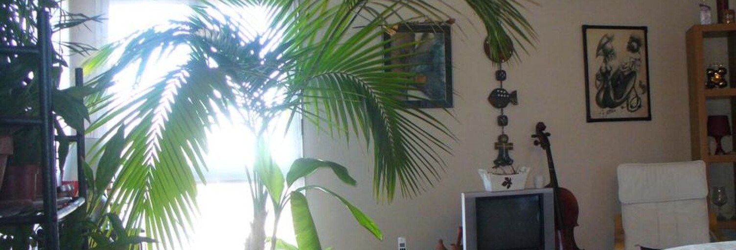 Appartement 1 Pièce 11 m² à louer à Toulouse (31000)