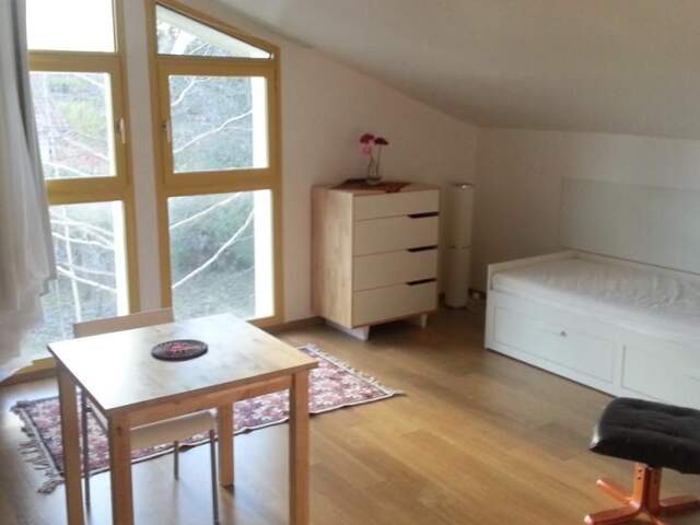 Studio de 25m2 à louer sur Meylan — photo du bien