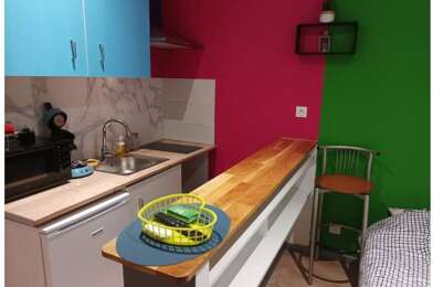 Appartement 1 pièces 450 €