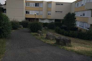 Appartement 3 pièces 785 €