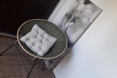 Appartement 1 pièces 470 €