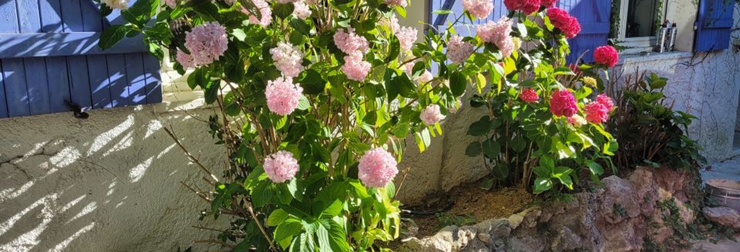 Photo N° 2