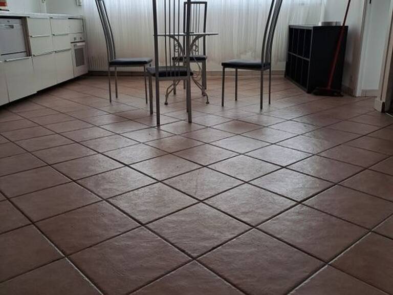 Appartement de 54m2 à louer sur Grenoble — photo 1