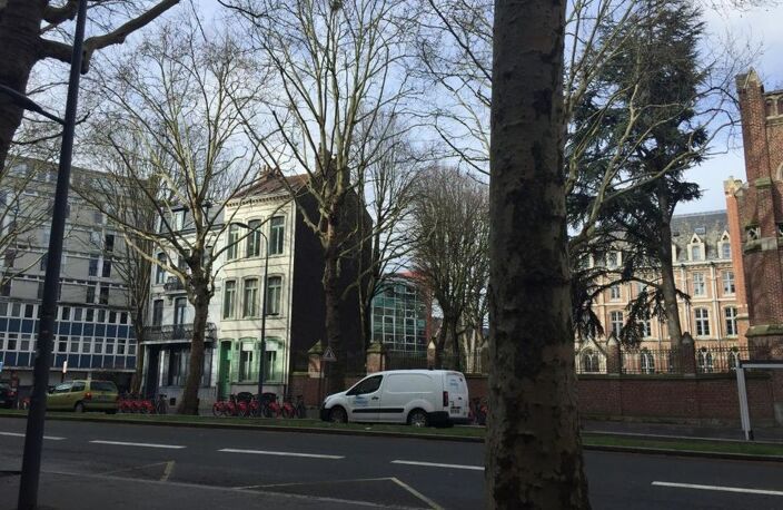 Appartement de 20m2 à louer sur Lille — photo 4