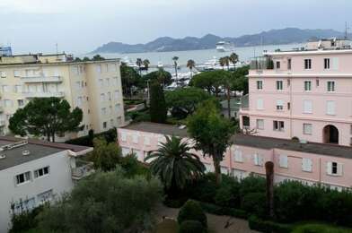 Appartement 1 pièces 1000 €